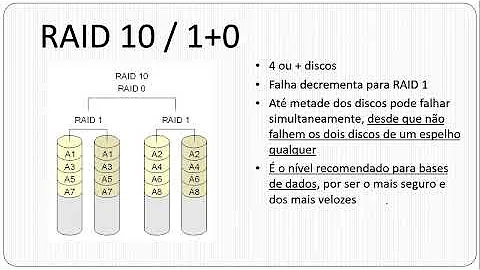 RAID - Prof. Walter Cunha