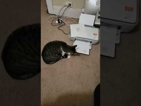 Printer works