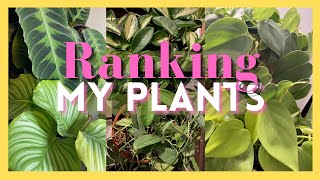 Ranking Every Plant Genus 