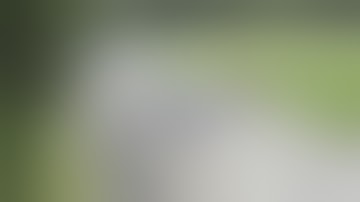 Best Fails of the Week 2 January 2018 || FailArmy