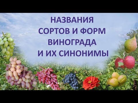 @Название сортов винограда и их синонимы