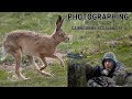 WILDLIFE PHOTOGRAPHY | CAIRNGORMS, SCOTLAND | Photographing Brown Hares | Part 4