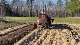 Planting Potatoes and Broccoli !! (2024 Garden First Plants)