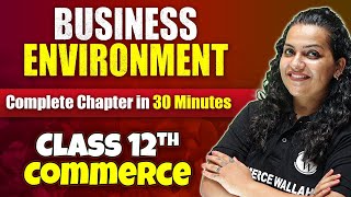 Business Environment - Complete Chapter in 30 Minutes | Class 12th Business Studies🔥