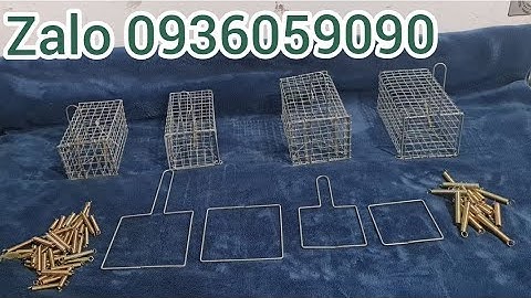 Bán lồng bẫy chuột đồng. Bán lồng bẫy chuột đường mòn. Bán lồng bẫy chuột đàn. Lò xo bẫy chuột.