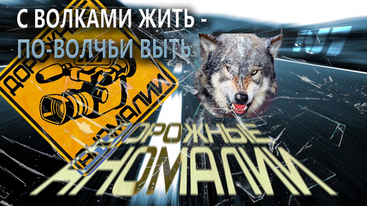 Пословица с волками жить по волчьи. С волками жить по Волчьи выть. По Волчьи жить. С волками жить по Волчьи. Среди Волков жить по Волчьи выть.