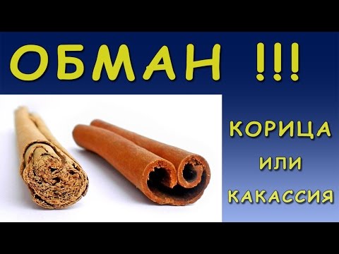 Корица или Кассия? / Не Дайте Себя Обмануть / Остров Корицы