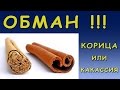 Шри-Ланка / КОРИЦА или КАССИЯ / НЕ ДАЙТЕ СЕБЯ ОБМАНУТЬ / ОСТРОВ корицы