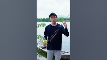 Mồi câu cá barracuda loài cá nhồng khoẻ nhất vùng nước nông, ở các đầm nước mặn và cách câu cá nhồng