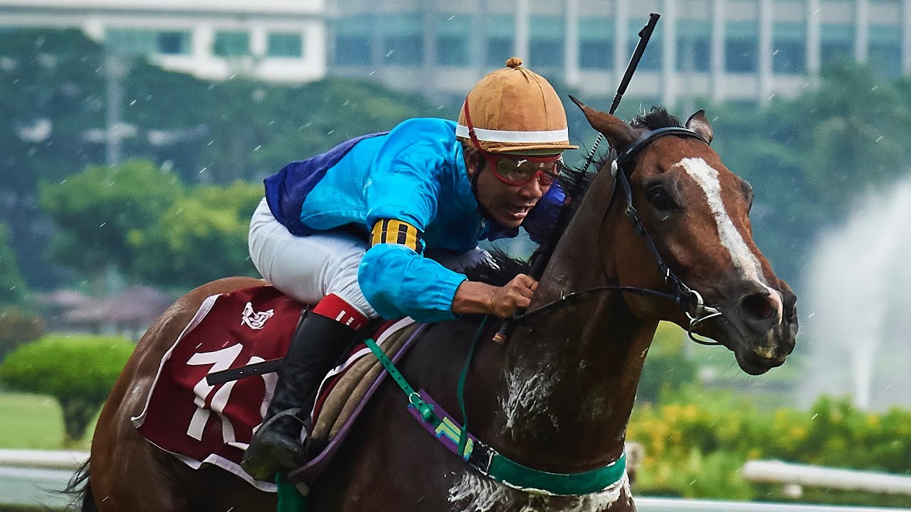 VIPER COMMAND - 12/10/2025 - Race 3 - Thoroughbred Class 3A - YouTube