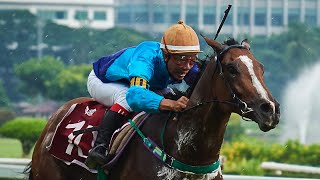 VIPER COMMAND - 12/10/2025 - Race 3 - Thoroughbred Class 3A screenshot 4