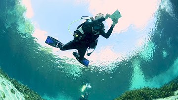 ScubaLab Testers Choice: Aqua Lung Calypso Regulator