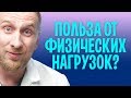 Физическая нагрузка. Зачем она нужна, на самом деле. Оксид азота