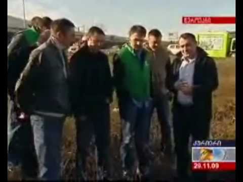 MOE. გამწვანების აქცია წეროვანში.  29.11.2009