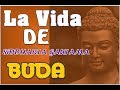 Buda Historia De Su Vida / La Vida De Siddhartha Gautama/ Voz Humana Español