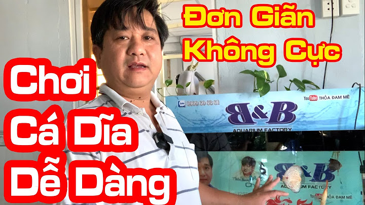 Hướng dẫn nuôi cá dĩa