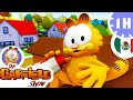 😉 ¡ Garfield salva a sus amigos ! 😉 - Episodio completo HD