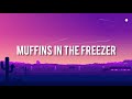 TIAGZ Muffins In The Freezer Lyrics TIAGZ Muffins In The Freezer Lyrics