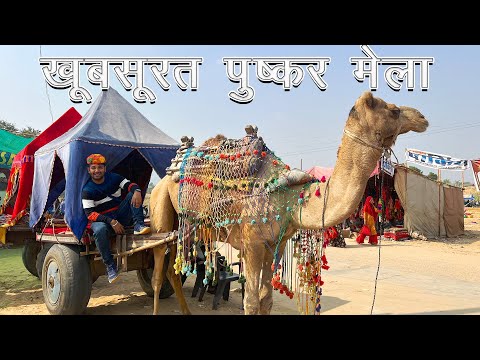 Video: 2021 Pushkar Camel Fair: Panduan Festival Penting