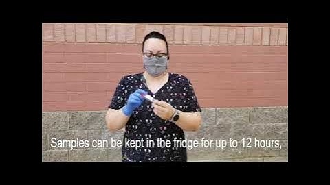 How to Collect A fecal Sample