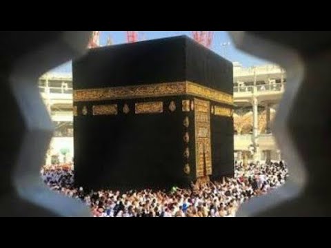 حالات ماهر زين ياطيبة جئتك صبا