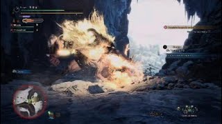 Monster Hunter World Iceborne - We Got Wombo Comboed By A Monkey