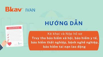 Hướng dẫn kê khai và nộp hồ sơ Truy thu BHXH, BHYT, BHTN, BHTNLĐ, BNN trên Nền tảng Bkav IVAN