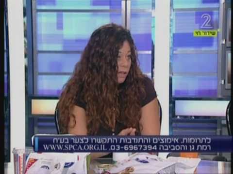 וִידֵאוֹ: מהו מזון לכלבים 'מאוזן'?