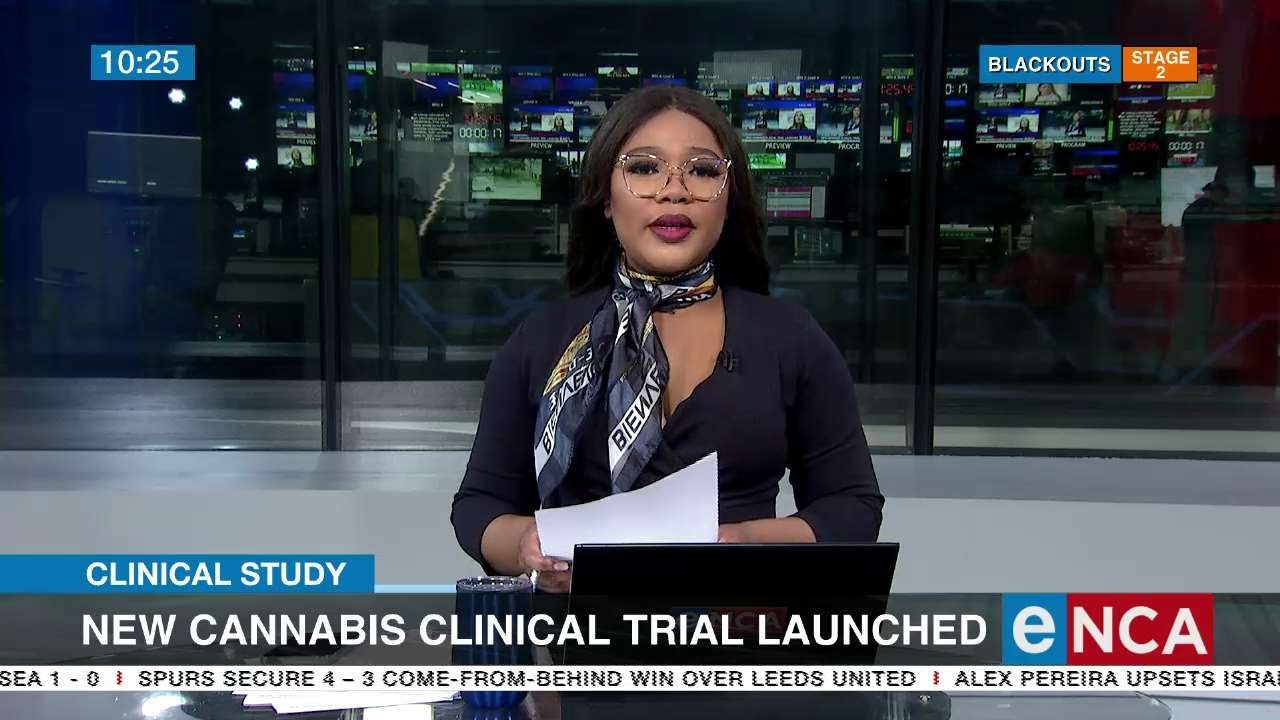 New cannabis clinical trial launched
