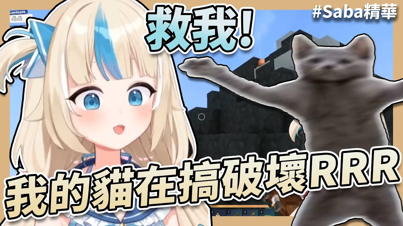 直播到一半差點被貓貓強迫關台!? (´;ω;`) | Sameko Saba 直播精華