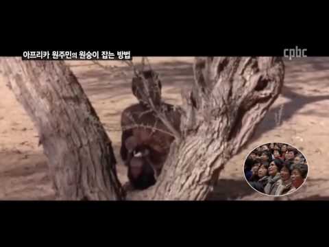 영상썸네일