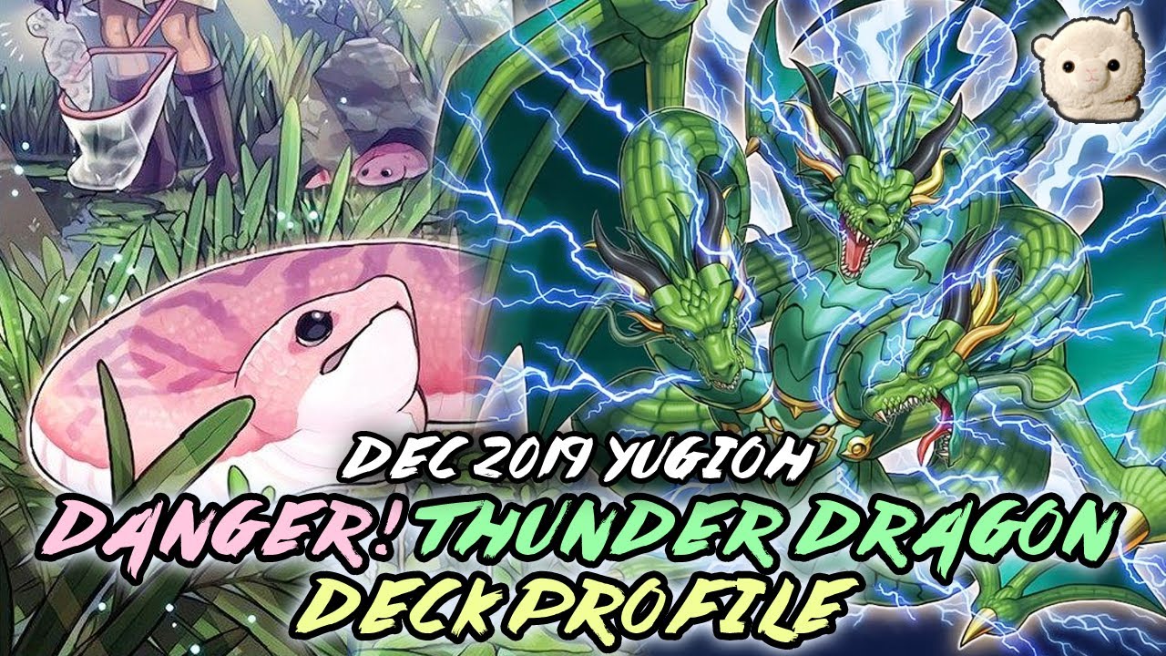 yugioh danger thunder dragon deck Complete Custom for Yu-Gi-Oh! Danger Thunder Dragon 2019 -