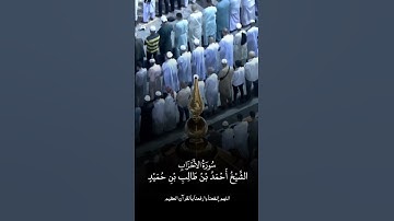 سورة الأحزاب | الشيخ #أحمد_بن_طالب_بن_حميد