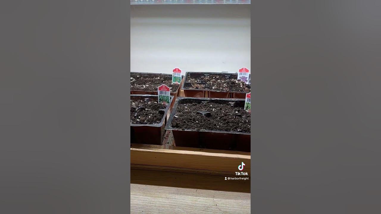 Luminar Linkable LED Plant Grow Light Harbor Freight Shorts YouTube