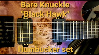 Quick demo of a set bare knuckle "black hawk" humbuckers, loaded in
solar s1.6. played through the archetype plini plugin from neural dsp.