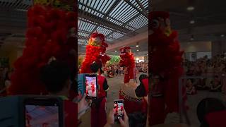 Feng Qi Tan Dragon and Lion Dance Troupe | 18 Fen 2026 | Sentosa Island