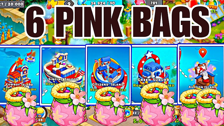 6 Pink Bags Cowboy Island, Singing Sallon,Green Suburb,Citizens' Island,Auction Island,Family Island