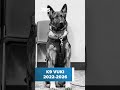 SeaTac mourns death of first police K-9 Vuki