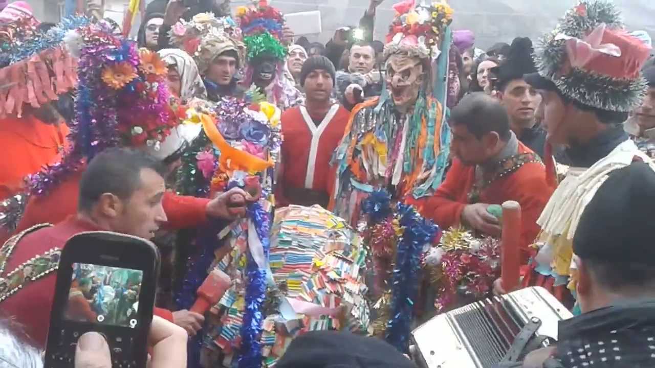 Capra de la Calini jud Bacau 2014