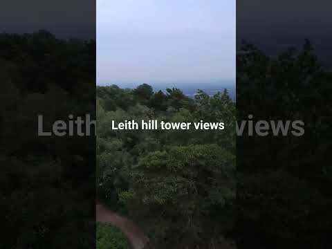 stunning views on top of Leith hill tower #nature #hiking #travel