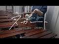 スカート(short ver.) - 星野源 / marimba cover