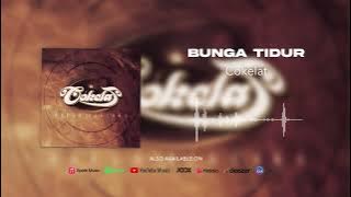 Cokelat - Bunga Tidur
