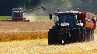 Download Lagu Wintergerst combinen met Handels- en Loonbedrijf Kuper B.V. MP3