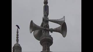 naat Gujidarada ,bhadrak, odisha