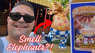 I'm Going To Smell Elephants At The Magic Kingdom! Who Knew They Smelled So Good!