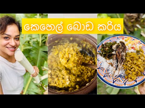 කෙහෙල් බොඩ | Banana stem curry