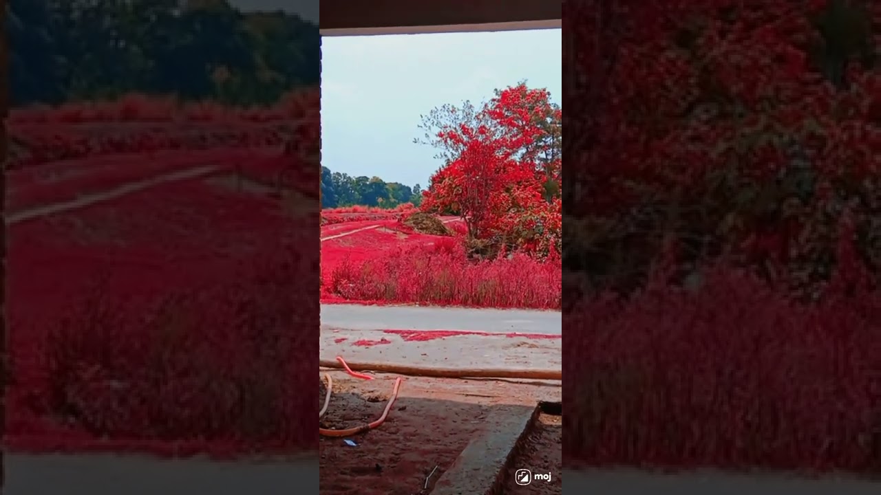september-6-2022-youtube