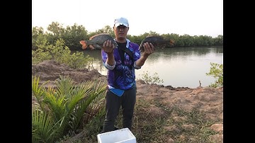 Câu cá tráp đầm Bình Đại , Bến Tre ....... 1 chuyến săn hàng đầy thú vị.