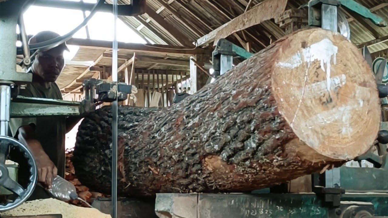 Details of the process of sawing premium pine wood in our factory - YouTube