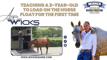 Teaching a 2-Year-Old to Load on the Horse Float for the First Time